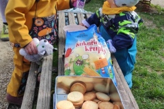 IMG_20230419_152308