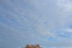 1_37789404896_180cf09398_z