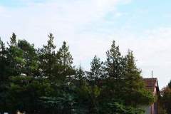 23985223758_9b85e820ca_z