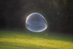 73220935_540705053156125_1005422071280304128_n