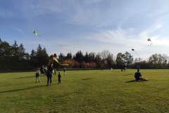 IMG_20191020_151756