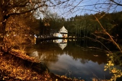 image4