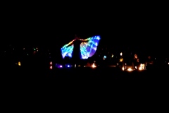 IMG_20231108_192440