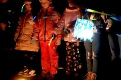 IMG_20231108_194124b